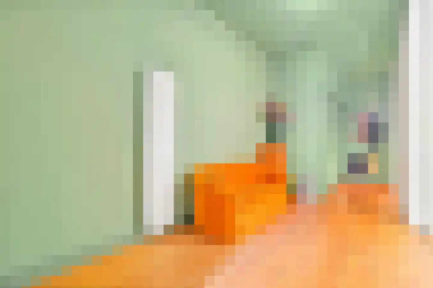 's-Gravendijkwal 38 B Rotterdam thumbnail 45