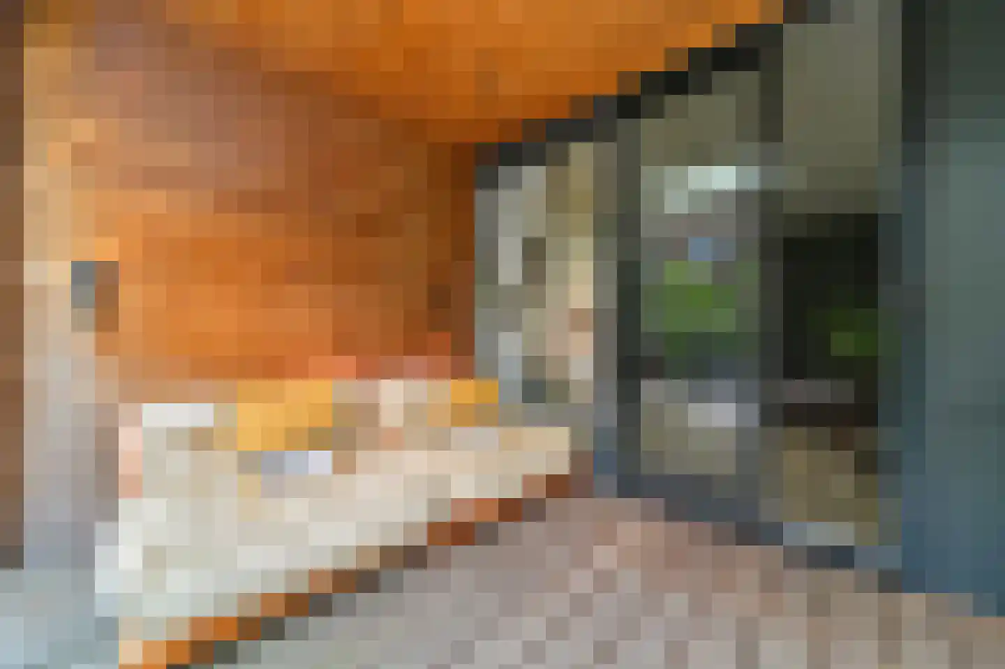 's-Gravendijkwal 38 B Rotterdam thumbnail 51