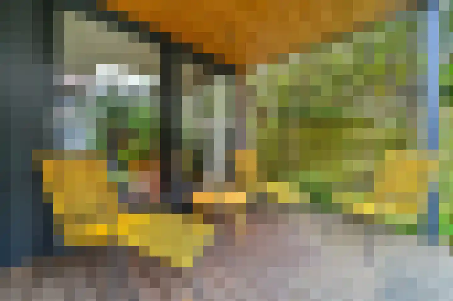 's-Gravendijkwal 38 B Rotterdam thumbnail 52