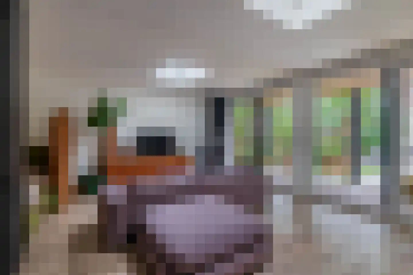 's-Gravendijkwal 38 B Rotterdam thumbnail 53