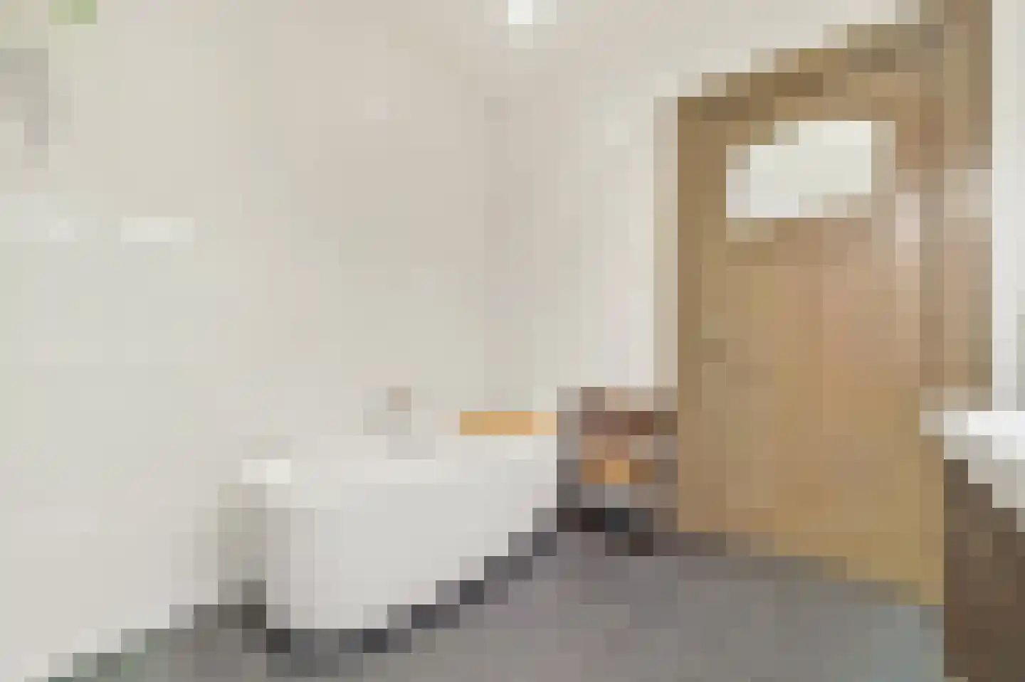 's-Gravendijkwal 38 B Rotterdam thumbnail 66