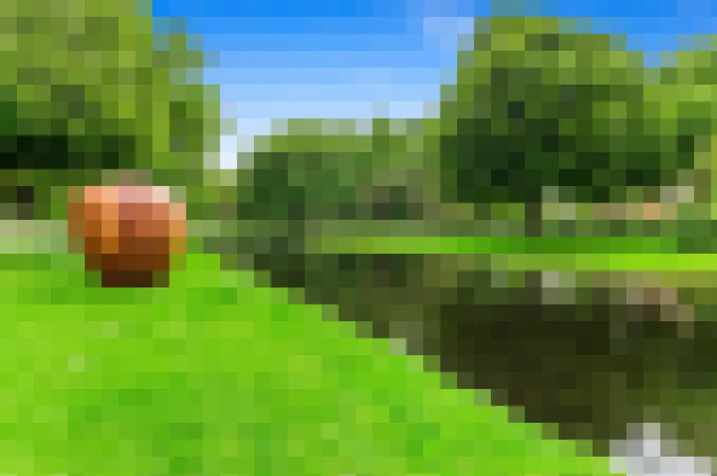 's-Gravendijkwal 38 B Rotterdam thumbnail 71
