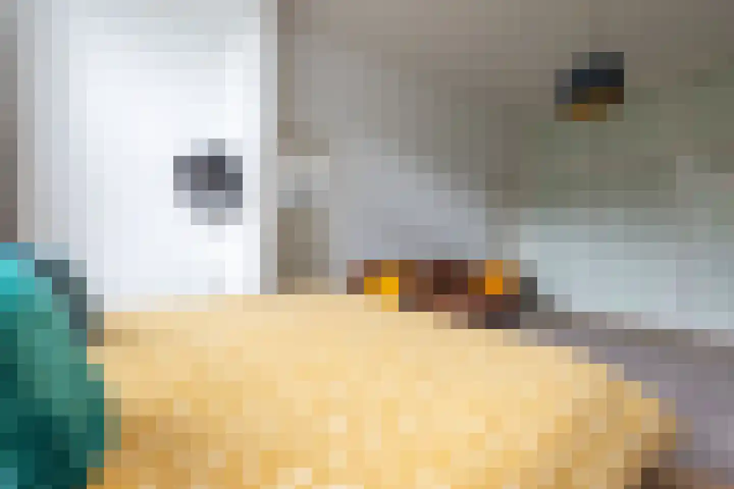 's-Gravendijkwal 55 Rotterdam thumbnail 37