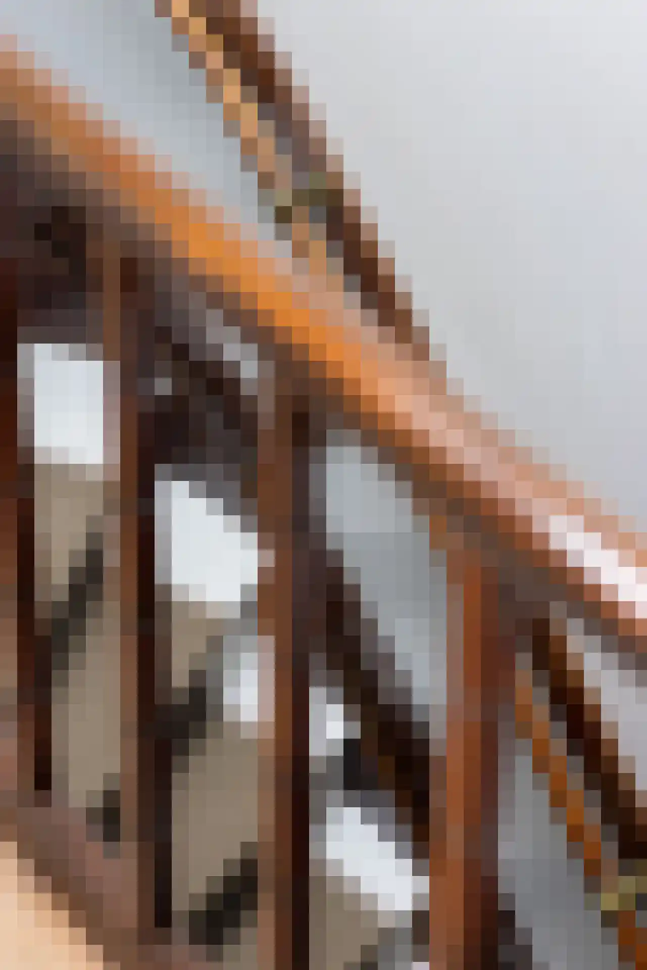 's-Gravendijkwal 55 Rotterdam thumbnail 54