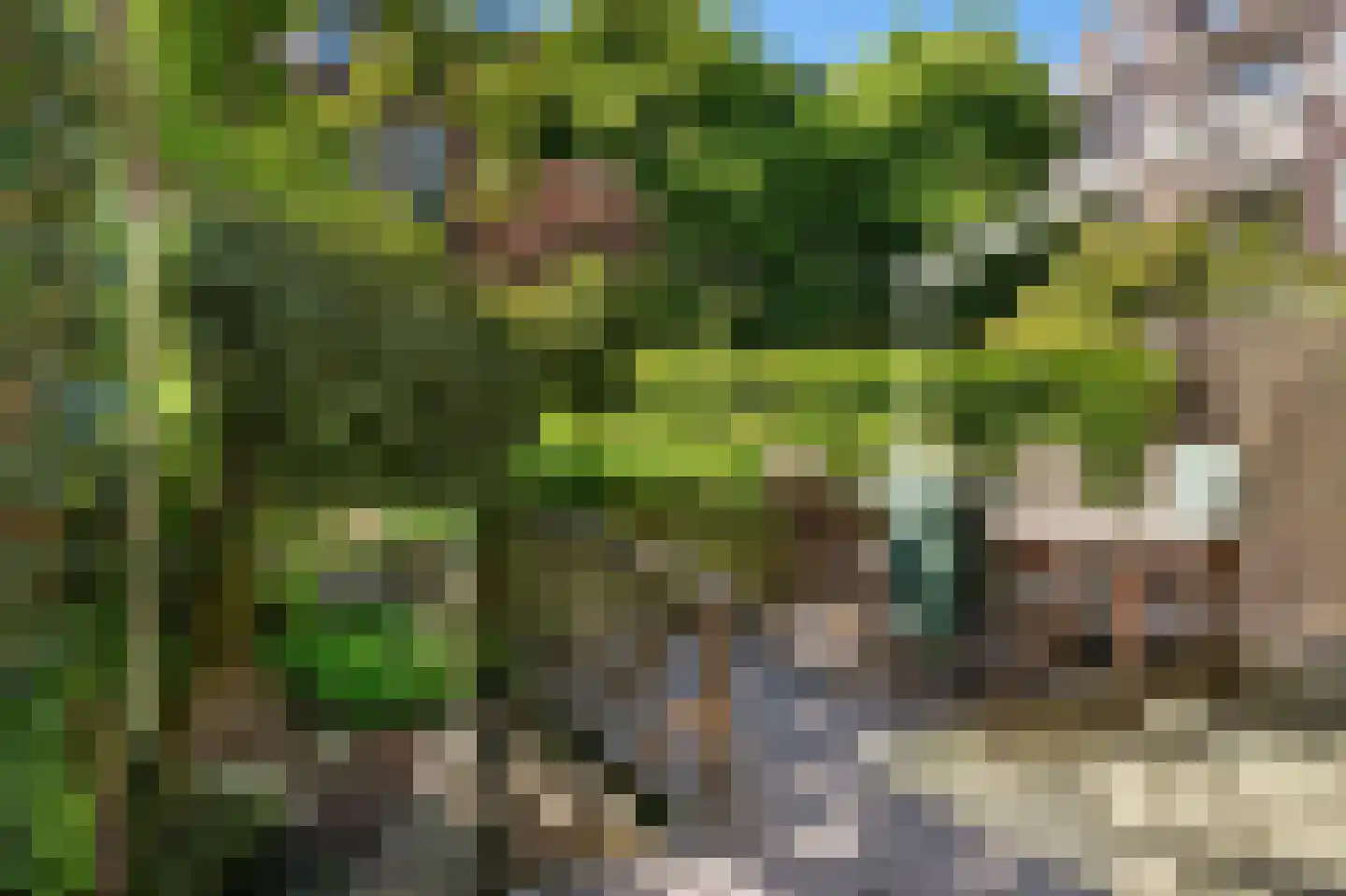 's-Gravendijkwal 55 Rotterdam thumbnail 56