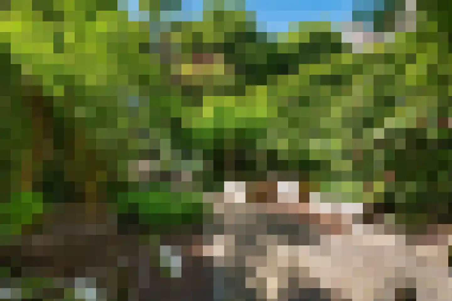 's-Gravendijkwal 55 Rotterdam thumbnail 58
