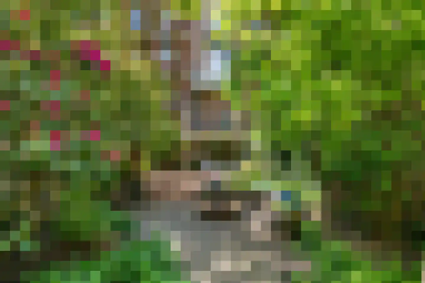 's-Gravendijkwal 55 Rotterdam thumbnail 59