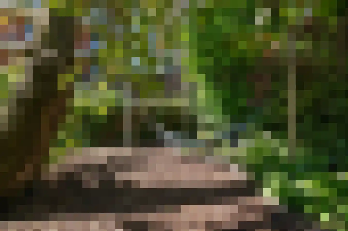 's-Gravendijkwal 55 Rotterdam thumbnail 63