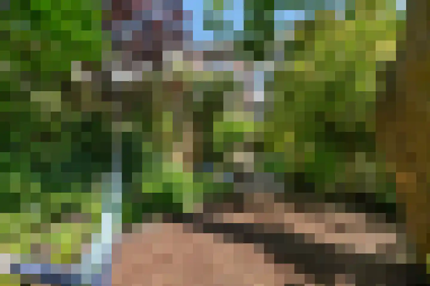 's-Gravendijkwal 55 Rotterdam thumbnail 64