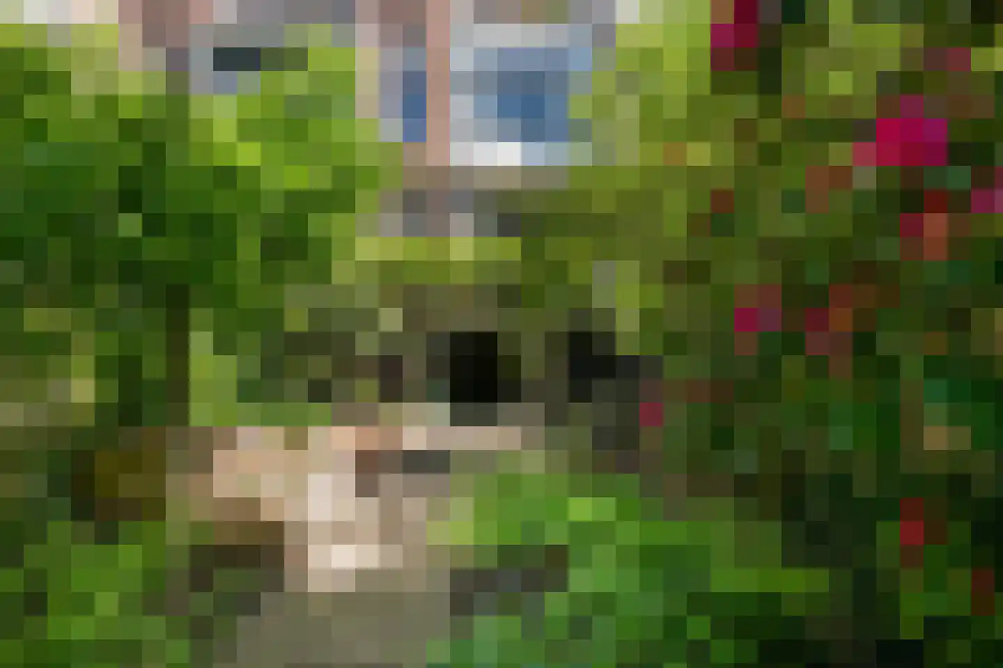 's-Gravendijkwal 55 Rotterdam thumbnail 68