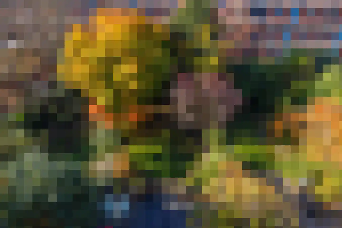 's-Gravendijkwal 67 A Rotterdam thumbnail 7