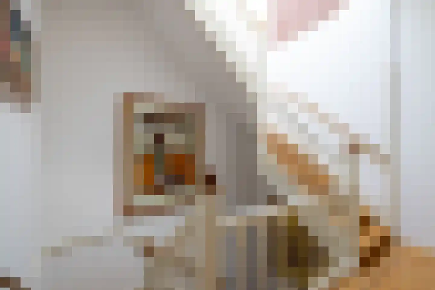 's-Gravendijkwal 67 A Rotterdam thumbnail 9