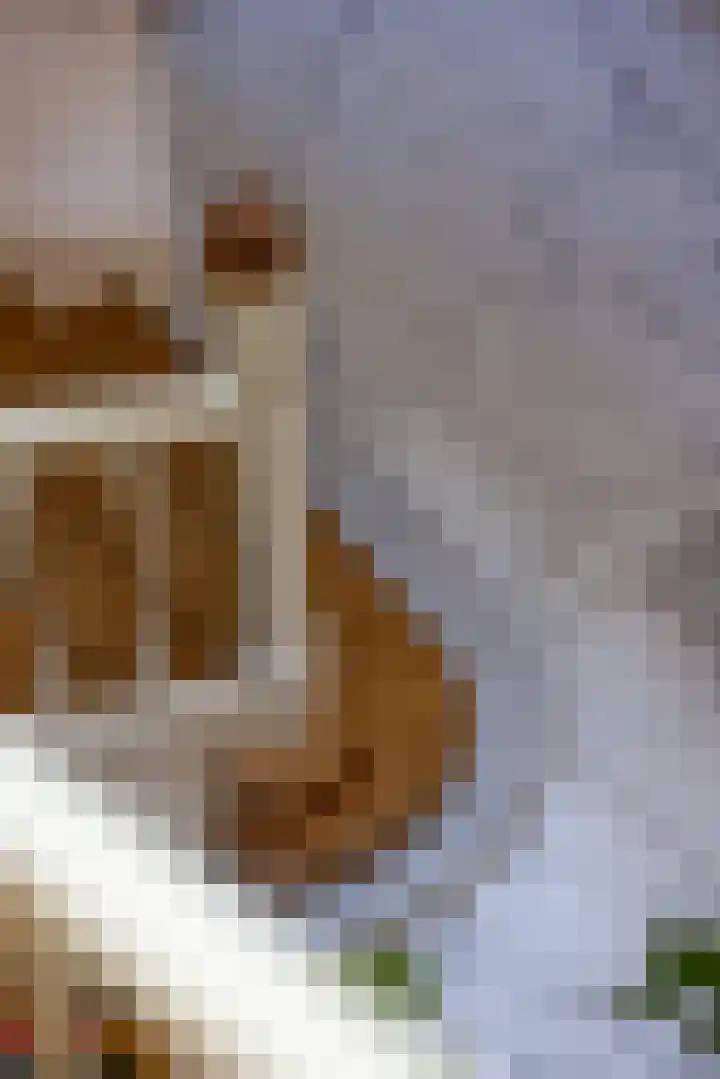 's-Gravendijkwal 67 B Rotterdam thumbnail 6