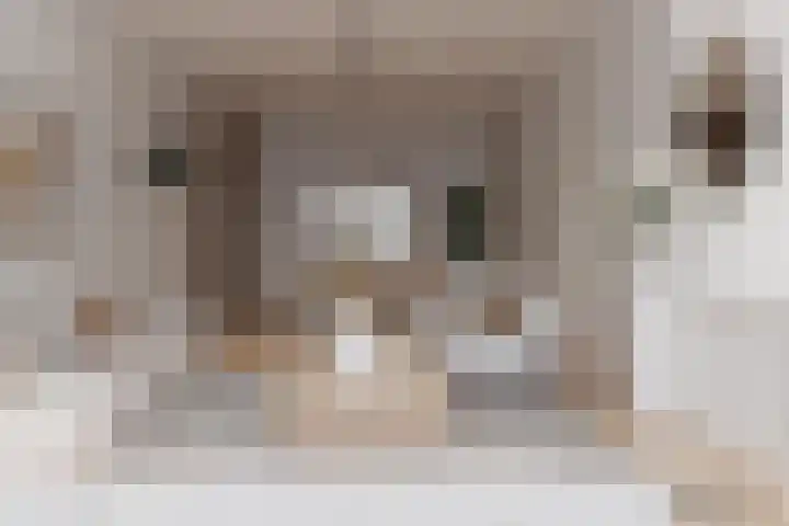 's-Gravendijkwal 67 B Rotterdam thumbnail 7