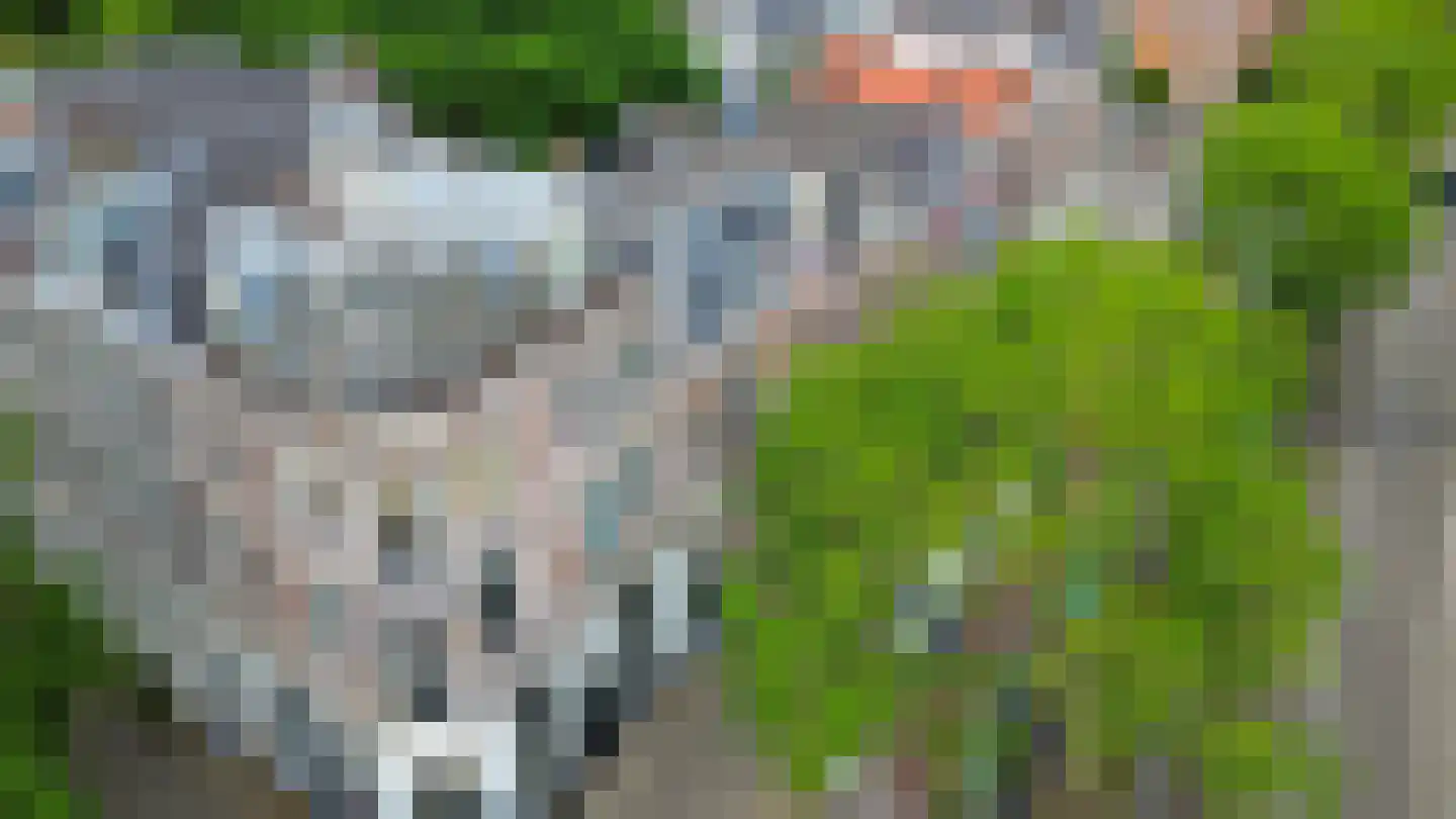 's-Gravendijkwal 91 A Rotterdam thumbnail 38