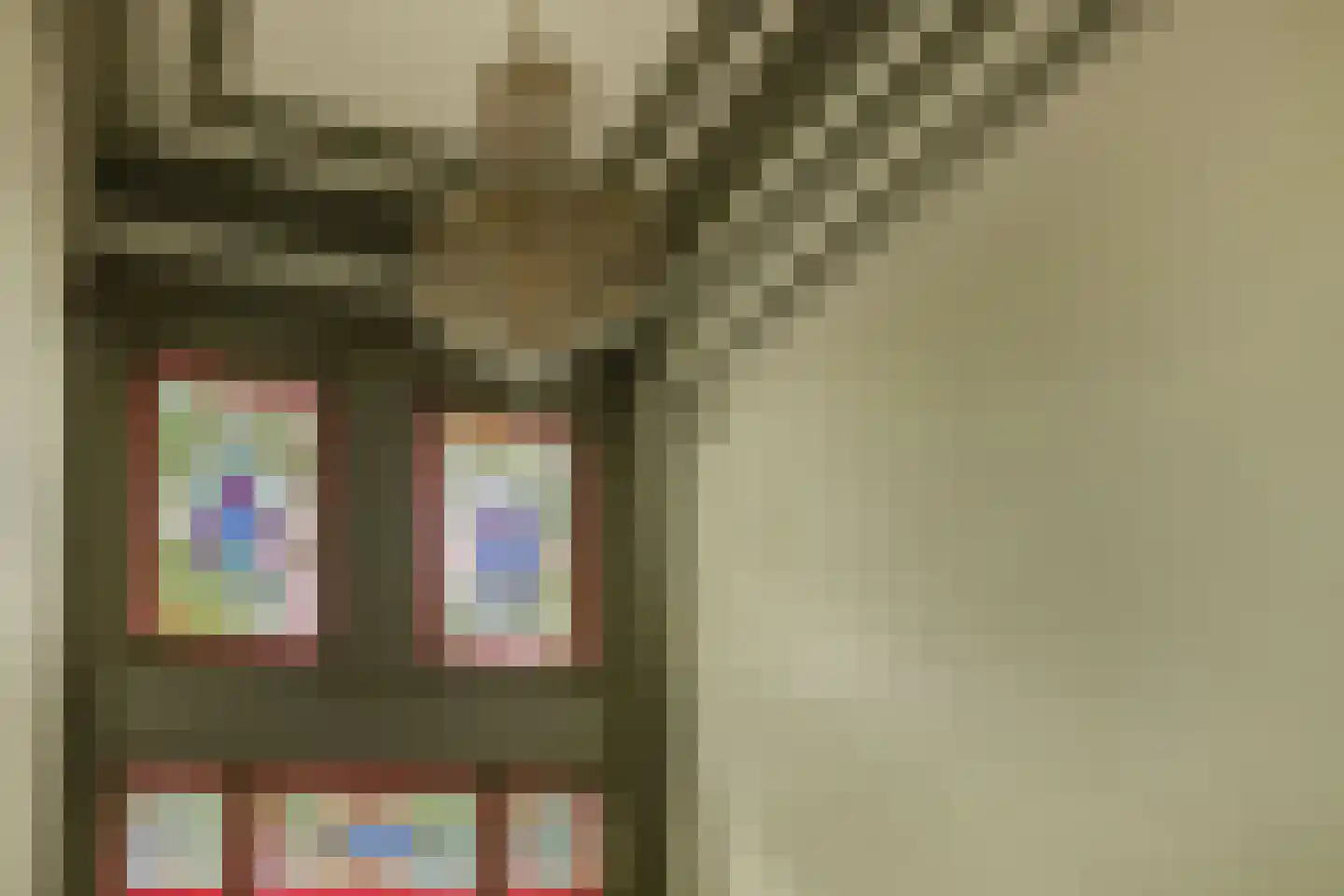 's-Gravendijkwal 91 A Rotterdam thumbnail 4