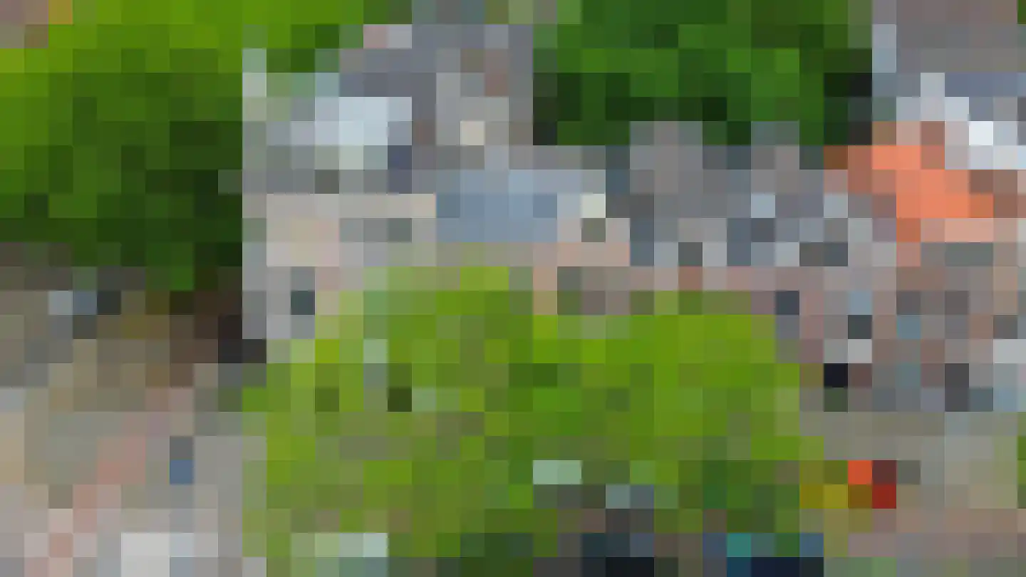 's-Gravendijkwal 91 A Rotterdam thumbnail 5