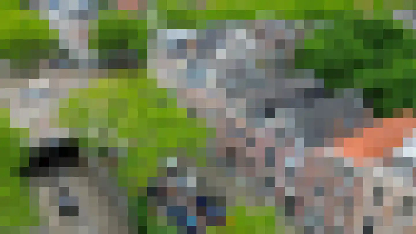 's-Gravendijkwal 91 A Rotterdam thumbnail 6