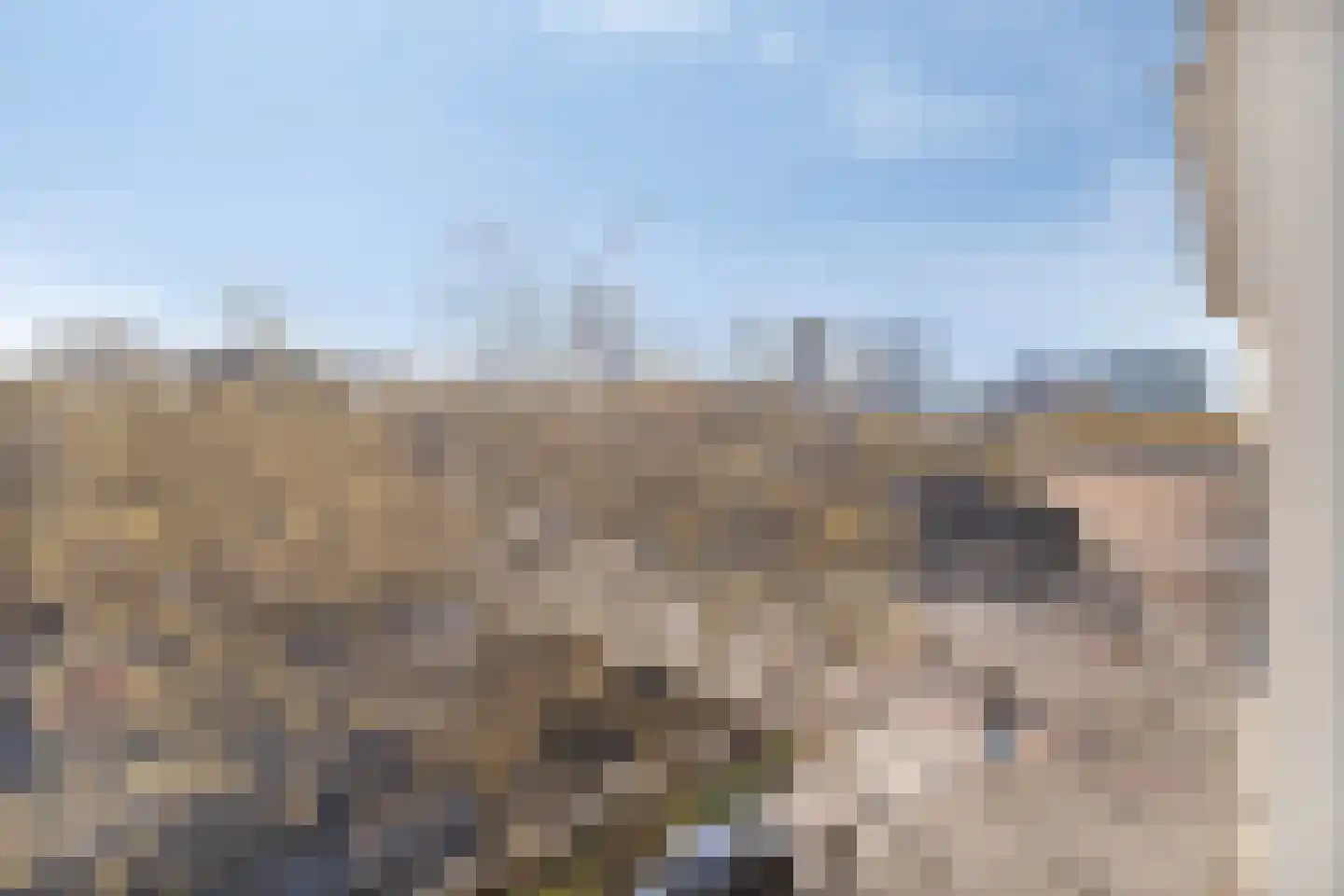's-Gravendijkwal 91 D Rotterdam thumbnail 21