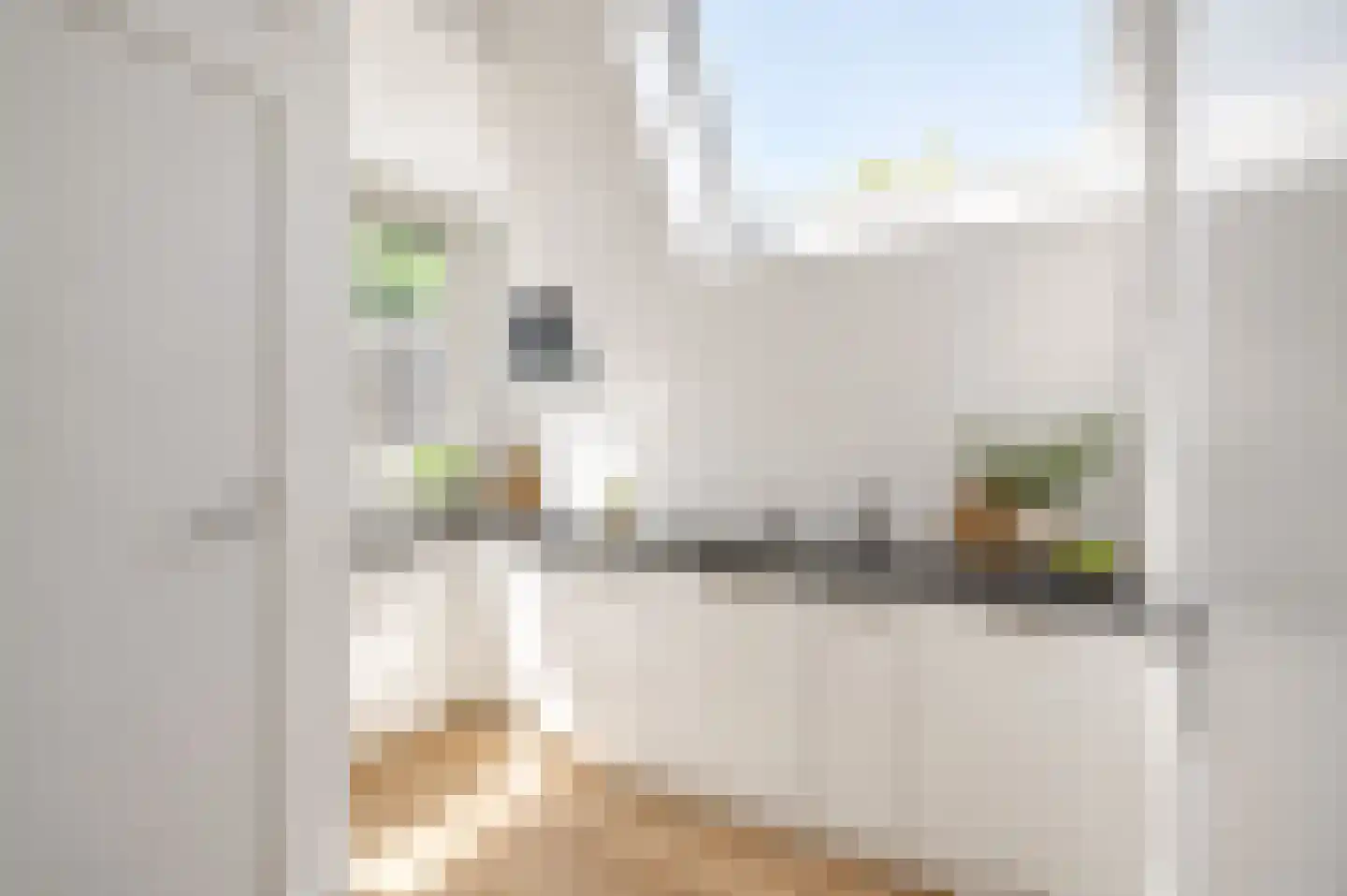 's-Gravendijkwal 91 D Rotterdam thumbnail 4