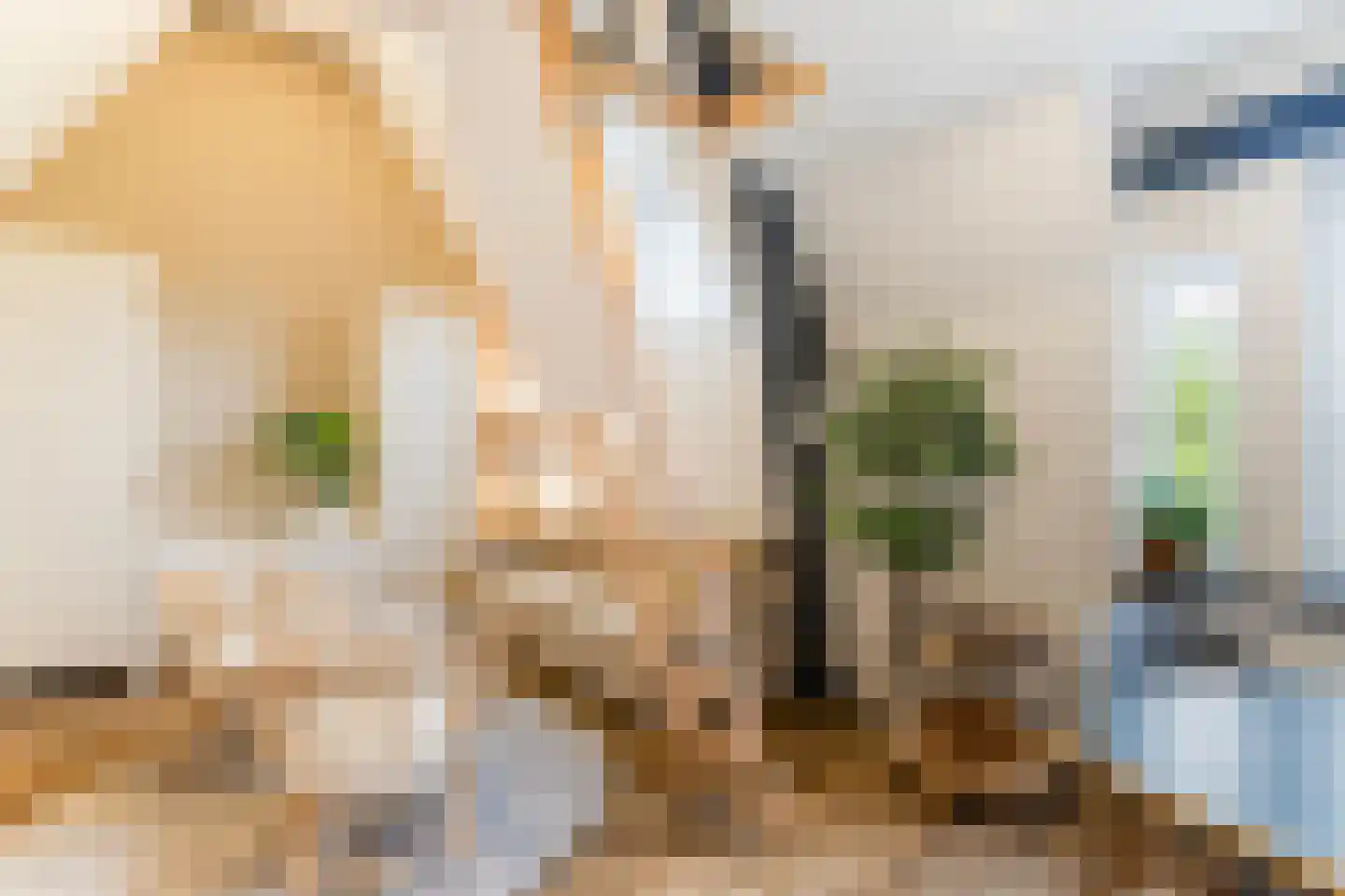 's-Gravendijkwal 92 F Rotterdam thumbnail 32