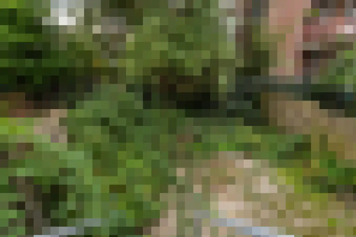 's-Gravendijkwal 92 F Rotterdam thumbnail 44