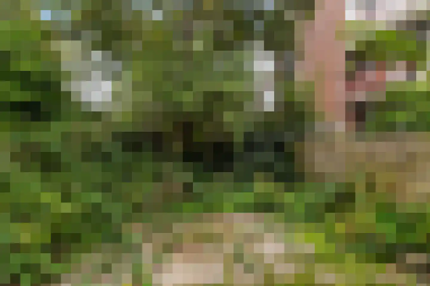 's-Gravendijkwal 92 F Rotterdam thumbnail 45