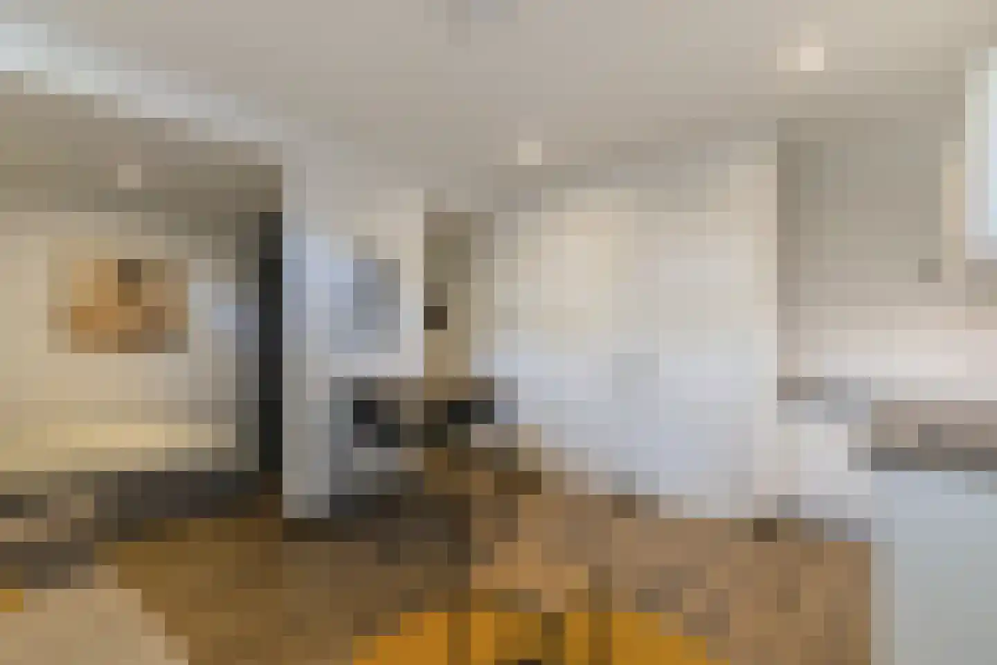 's-Gravendijkwal 92 G Rotterdam thumbnail 11