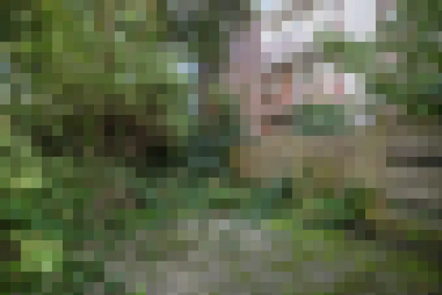 's-Gravendijkwal 92 G Rotterdam thumbnail 30