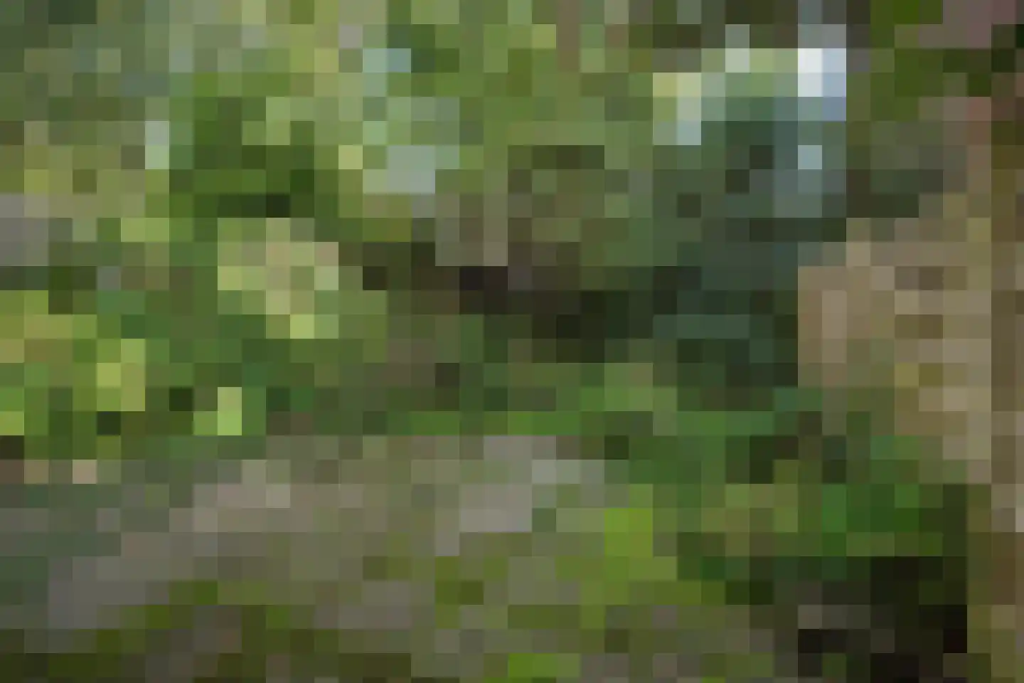 's-Gravendijkwal 92 G Rotterdam thumbnail 31