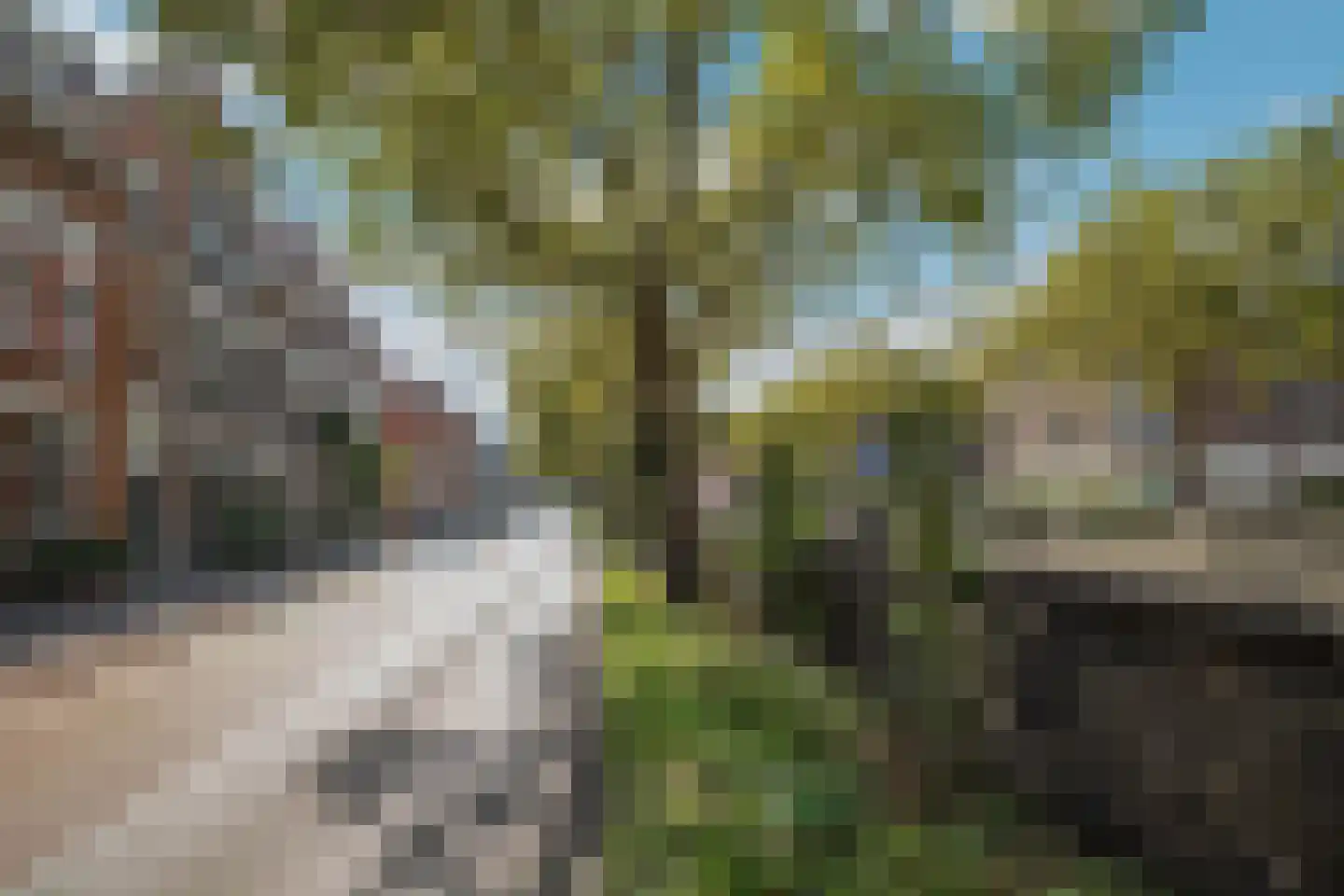 's-Gravendijkwal 92 H Rotterdam thumbnail 33