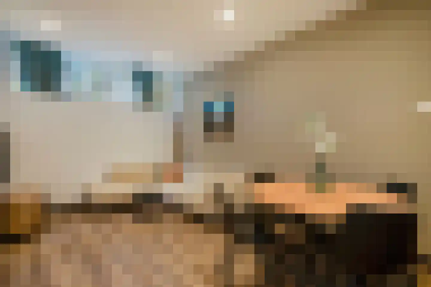 's-Gravendijkwal 92 H Rotterdam thumbnail 8