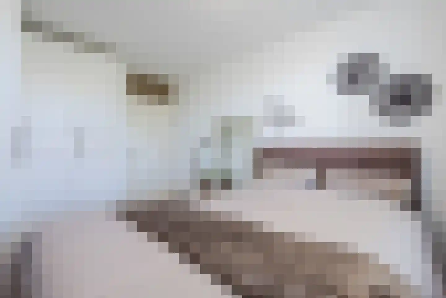 's-Gravenhagehof 41 Almere thumbnail 19