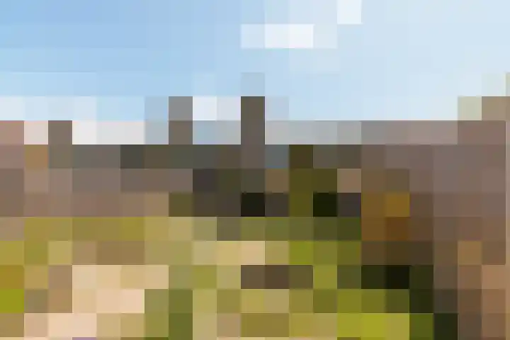 's-Gravenhagehof 5 Almere thumbnail 23