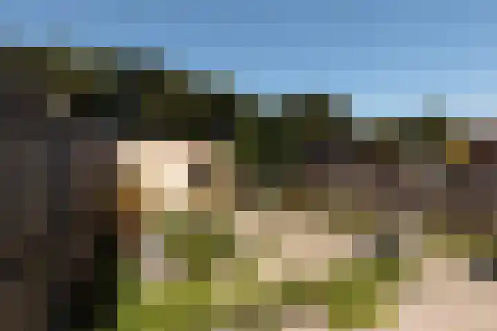 's-Gravenhagehof 5 Almere thumbnail 25