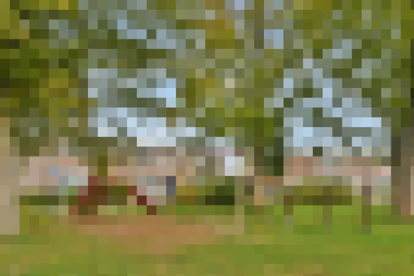 's-Gravenhagehof 59 Almere thumbnail 19