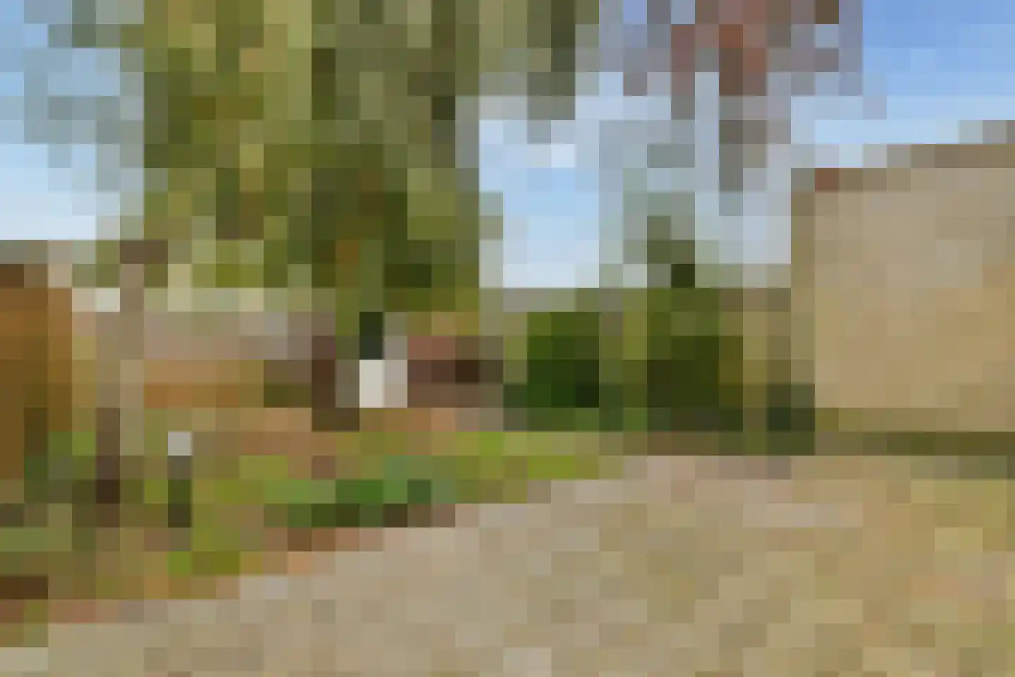 's-Gravenhagehof 59 Almere thumbnail 7