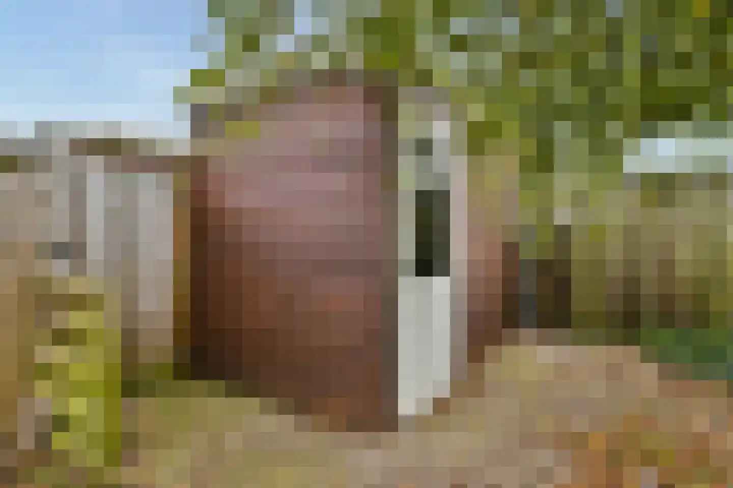 's-Gravenhagehof 59 Almere thumbnail 8