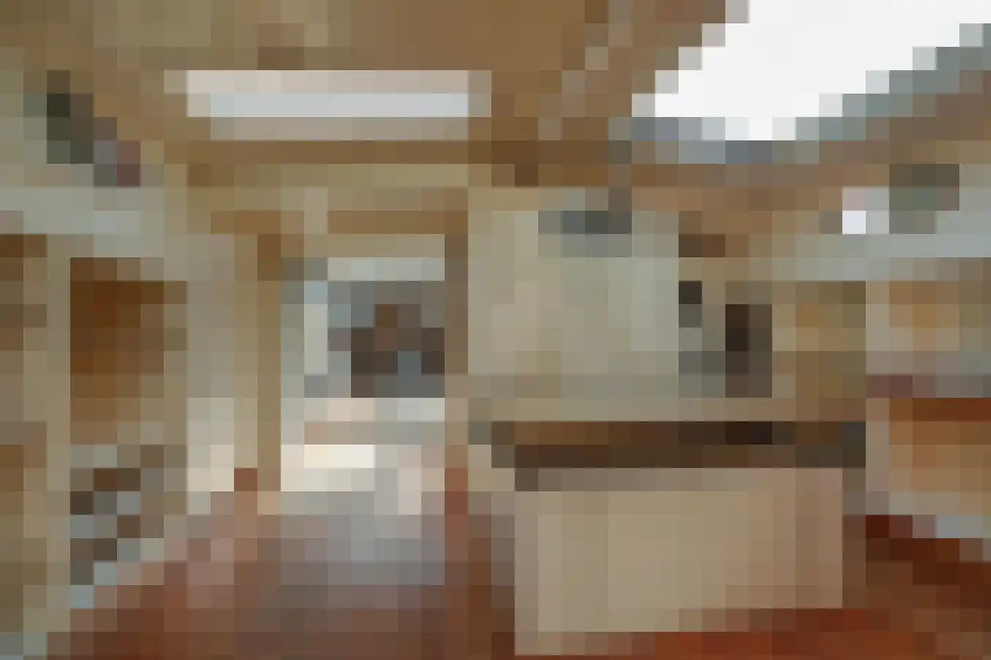 's-Gravenhekje 10 Amsterdam thumbnail 19