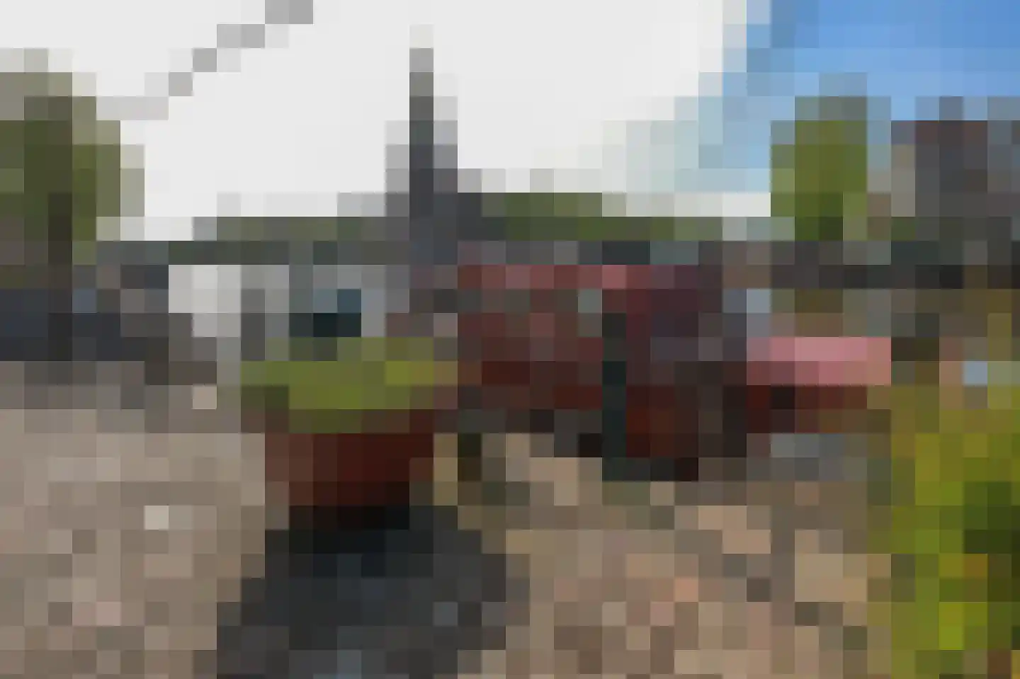 's-Gravenhekje 10 Amsterdam thumbnail 38