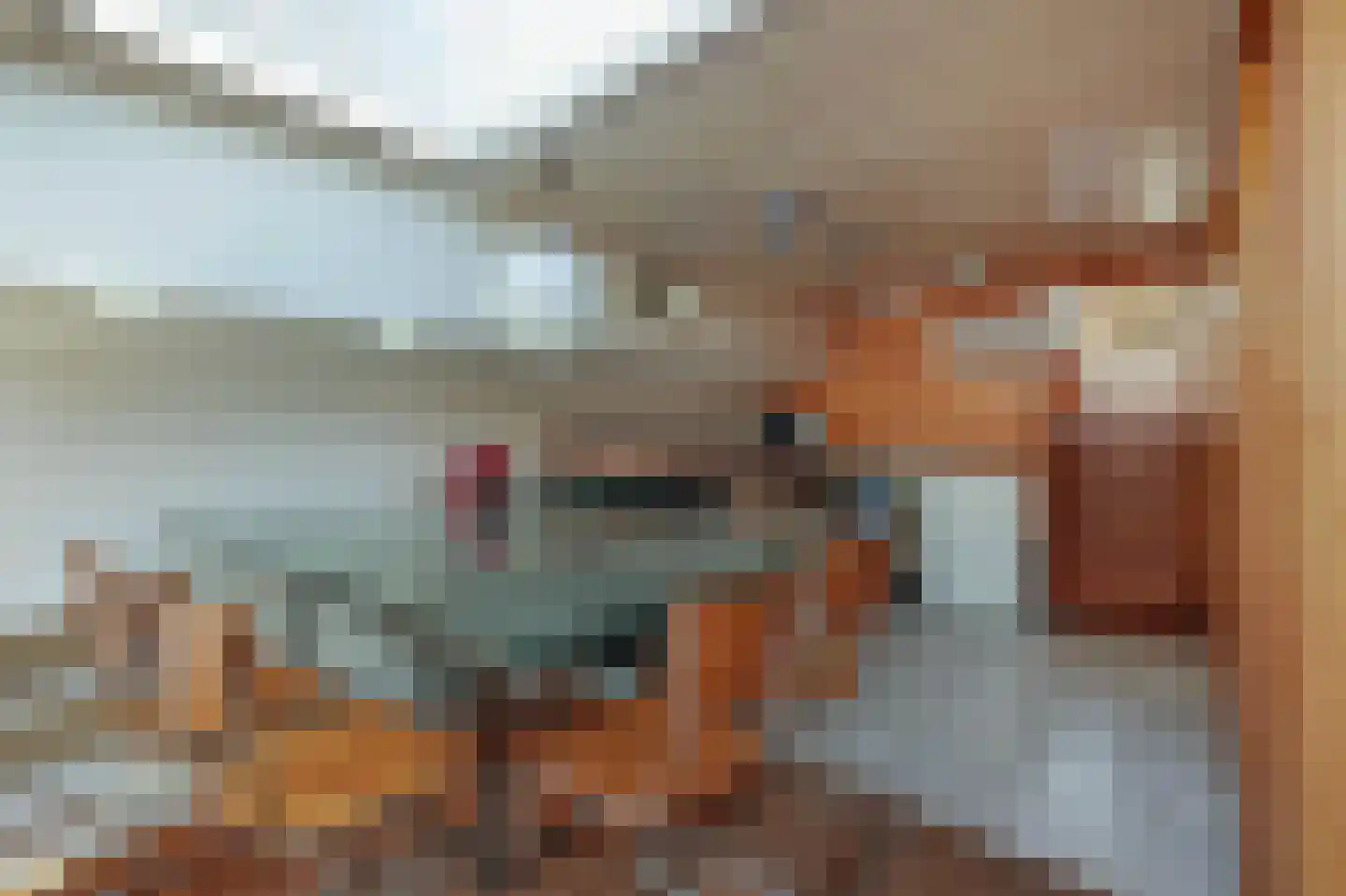 's-Gravenhekje 10 Amsterdam thumbnail 9