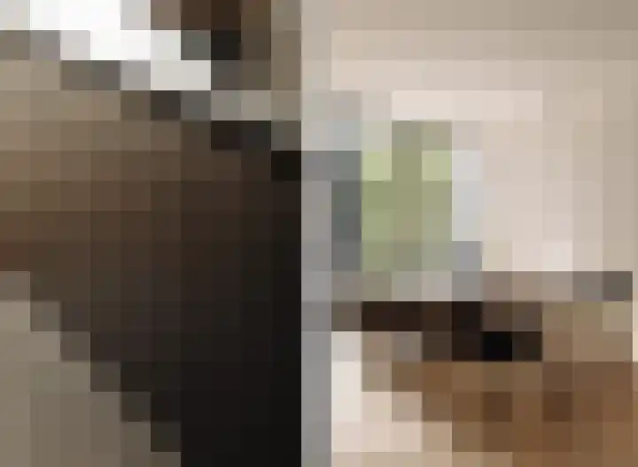 's-Gravenhekje 2 H Amsterdam thumbnail 11