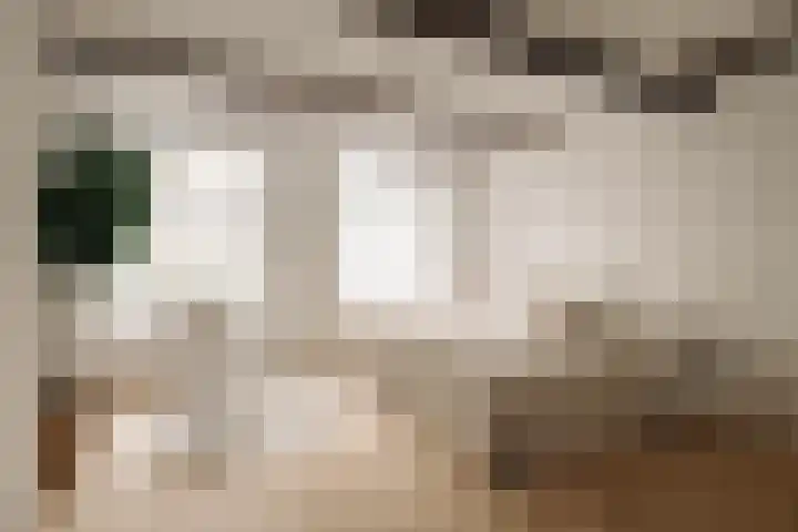 's-Gravenhekje 2 H Amsterdam thumbnail 12