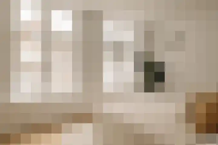 's-Gravenhekje 2 H Amsterdam thumbnail 15