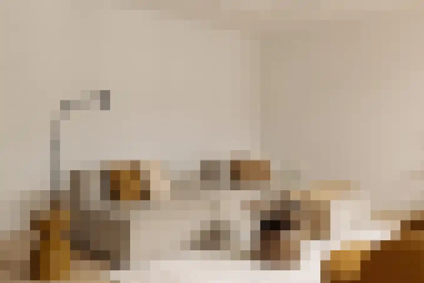 's-Gravenhekje 2 H Amsterdam thumbnail 22