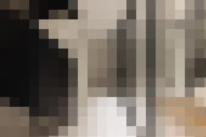 's-Gravenhekje 2 H Amsterdam thumbnail 22
