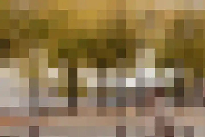 's-Gravenhekje 2 H Amsterdam thumbnail 24