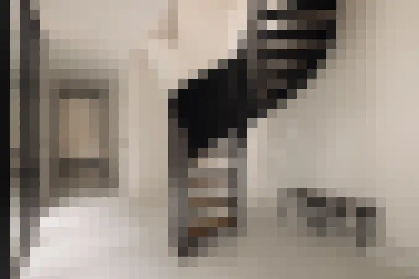 's-Gravenhekje 2 H Amsterdam thumbnail 30