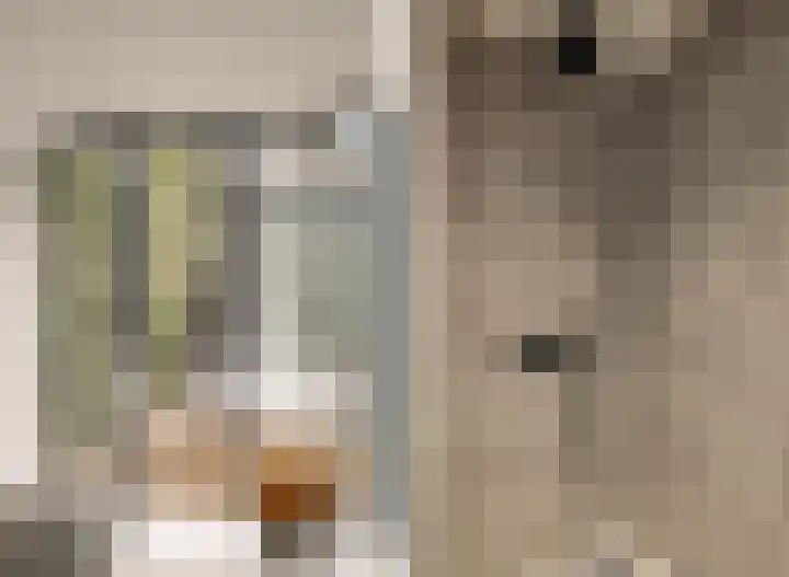 's-Gravenhekje 2 H Amsterdam thumbnail 32
