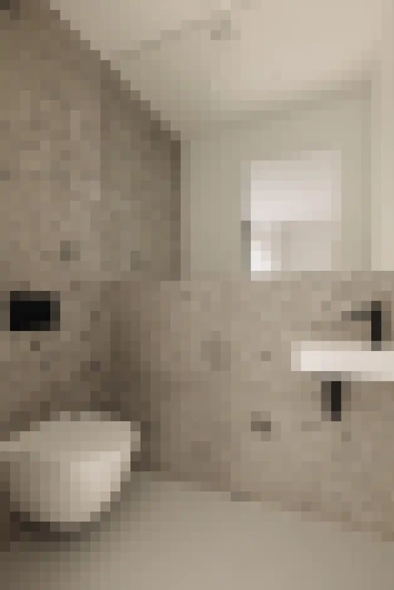 's-Gravenhekje 2 H Amsterdam thumbnail 38